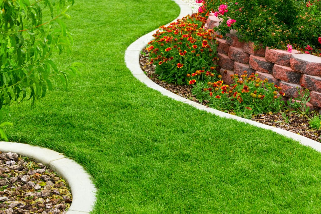 In many neighborhoods, people envy the neighbor with the most beautiful lawn, and think that a lawn of equal health and aesthetic beauty is not within their grasp. Protex Lawn and Pest Control can help make this dream lawn a reality.
