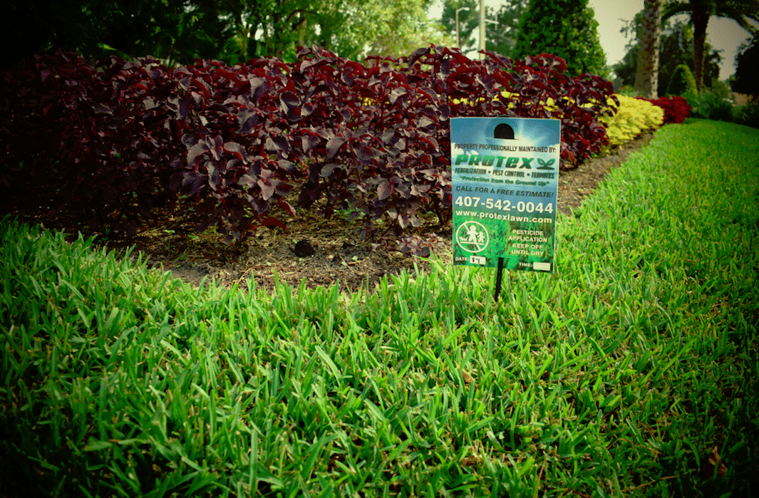 lawn care oviedo, protex lawn care & pest control