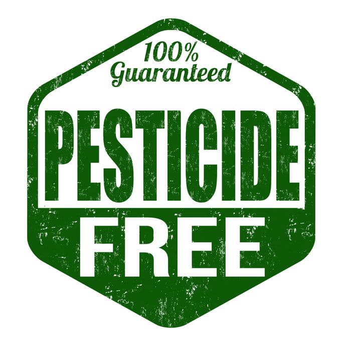 Pest Control Oviedo – FL