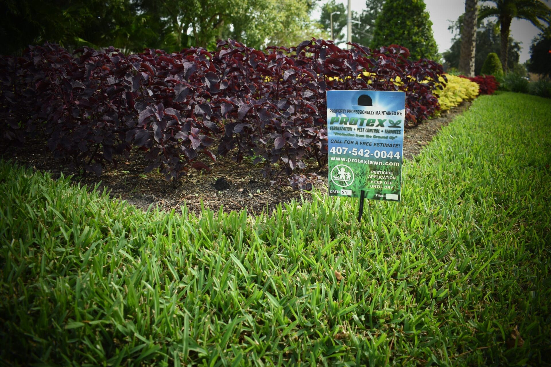 lawn care orlando, fertilizer company in orlando