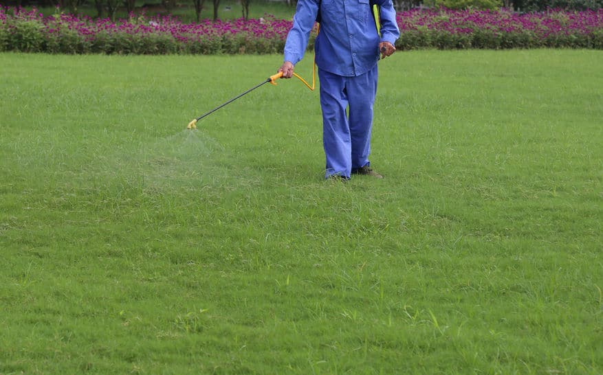 Lawn Pest Control Orlando