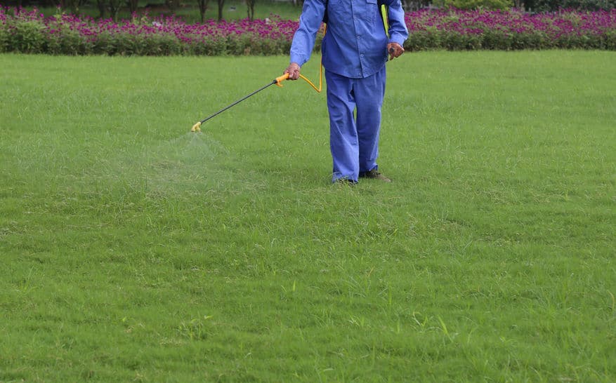 lawn pest control