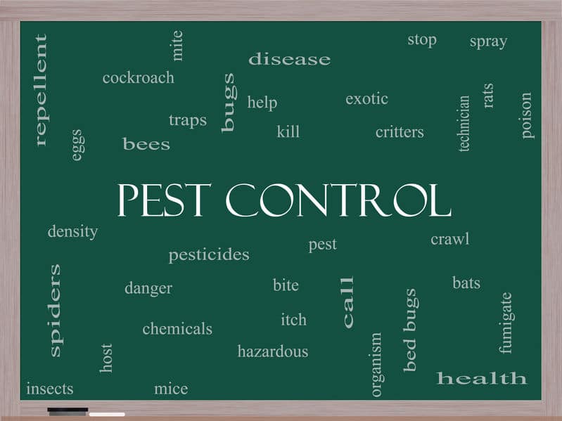 Pest Control Orlando