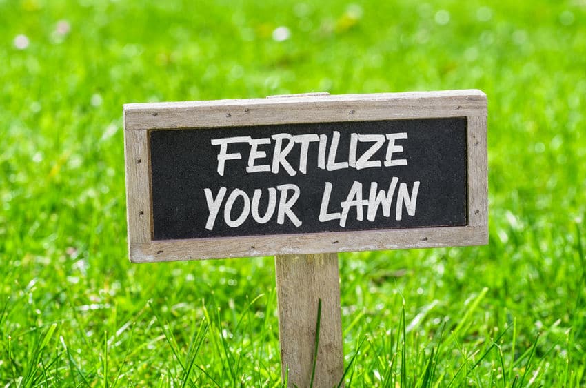 Fertilization in Orlando