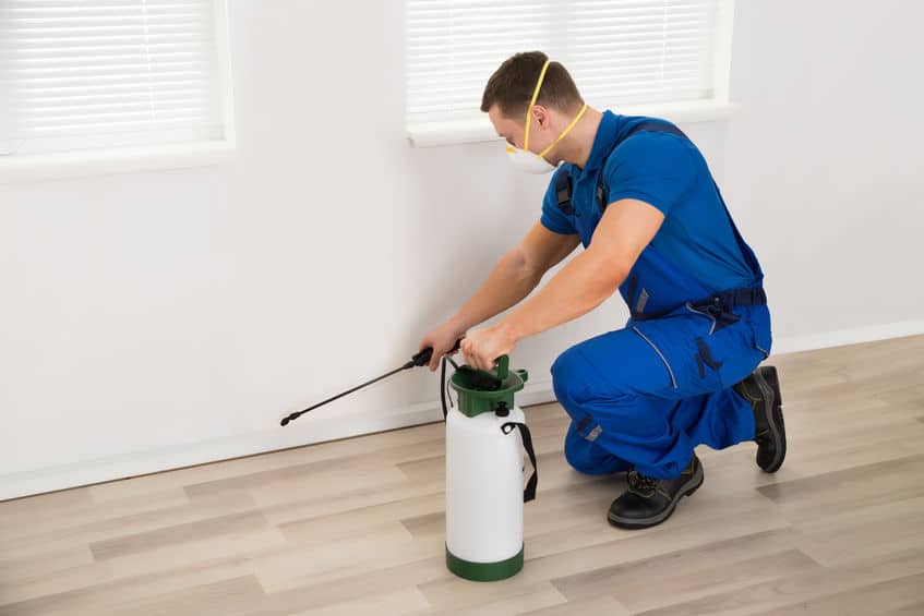 Complete Pest Control Services For Your Orlando Home