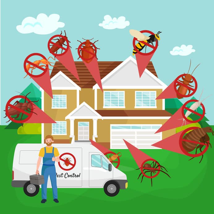 5 Types of Pests to Watch out for