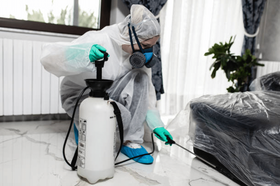 Pest Control in Orlando Florida, find best pest control company in orlando