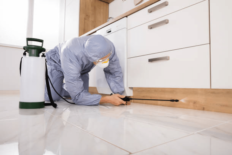 3 Reasons to hire pest control company