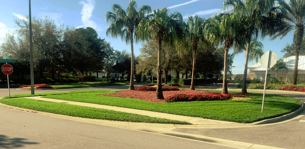 Lawn Treatment in Orlando