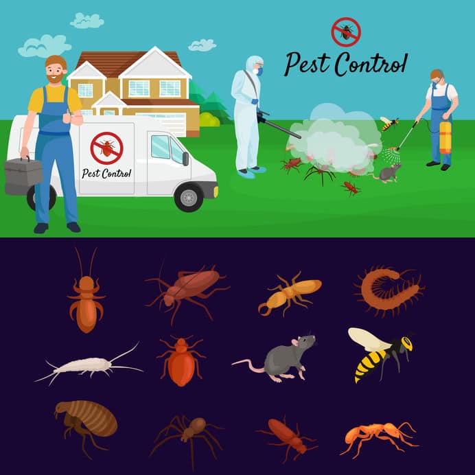 3 Reasons to Hire an Exterminator in Orlando
