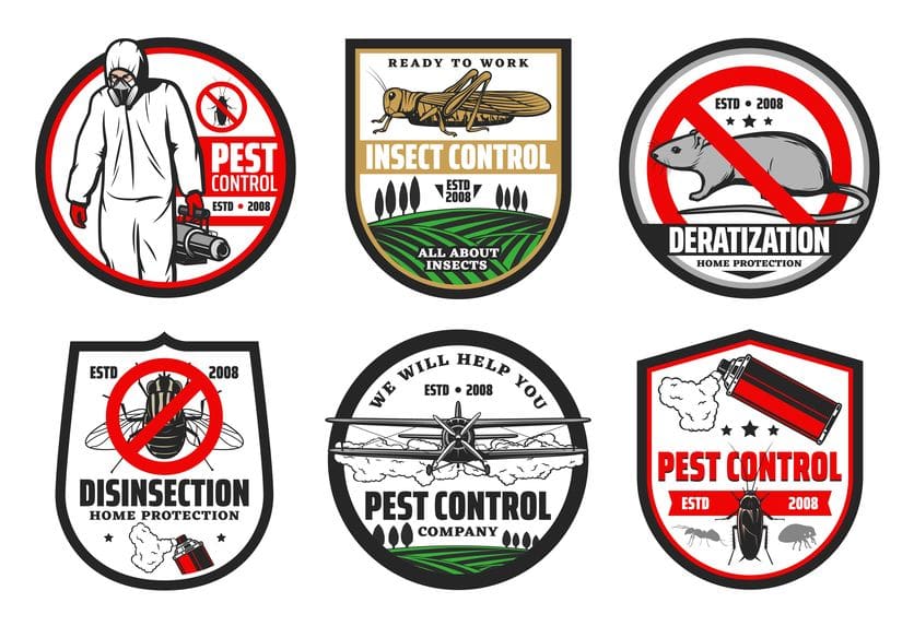 Pest Control Companies in Orlando