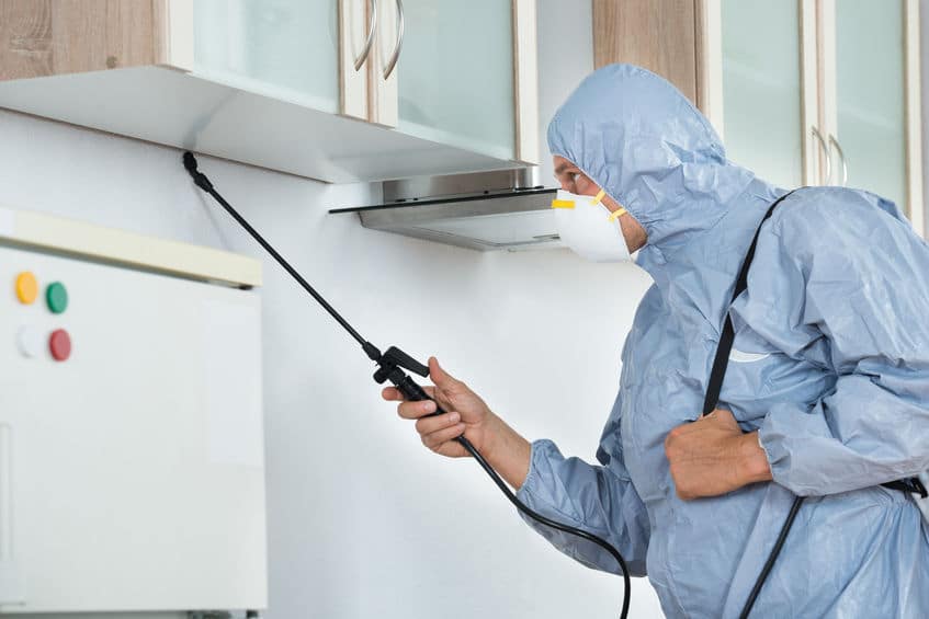 What Can Exterminator Do For You in Orlando?