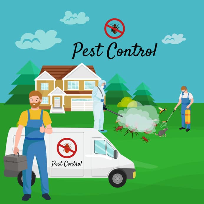 How Long Does A Pest Control Treatment Last?