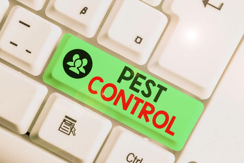 How Much Does Pest Control Service Cost?