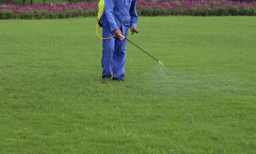 What do Lawn Fertilizer Services Include?