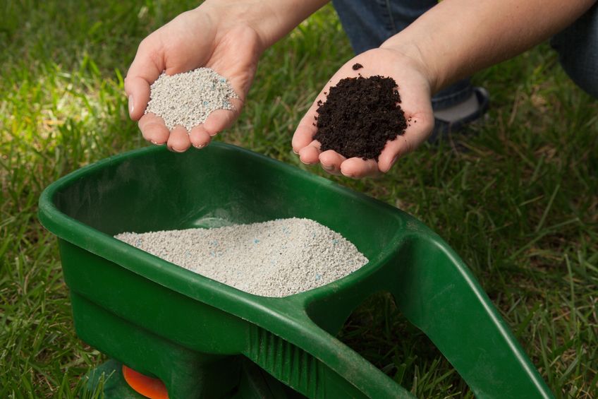 lawn fertilizer service in Orlando, Pest Control DIY or Hire Professional Company in Orlando