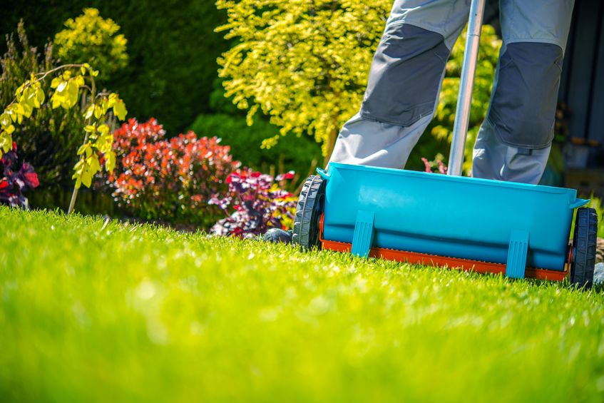 Best Lawn Fertilizer Companies in Orlando