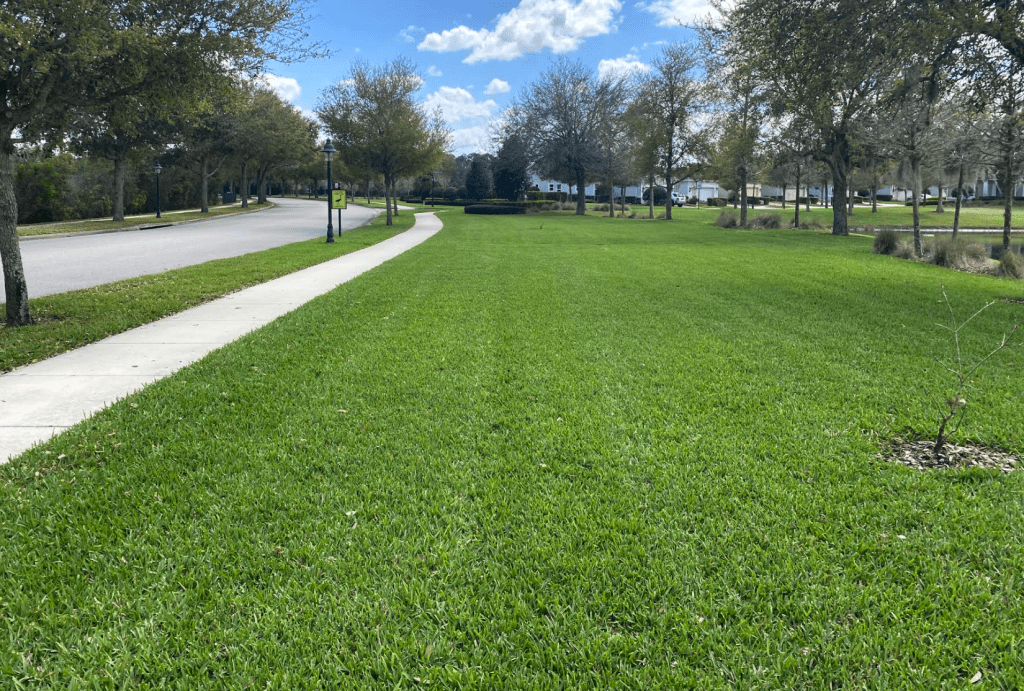 Importance of Lawn Fertilization in Orlando, FL