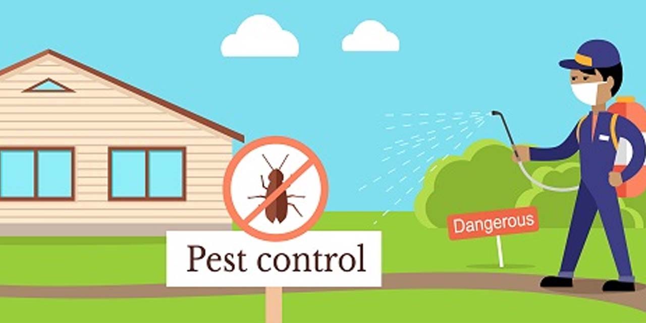 Hire the best exterminator in Orlando, Customized Treatment Plan