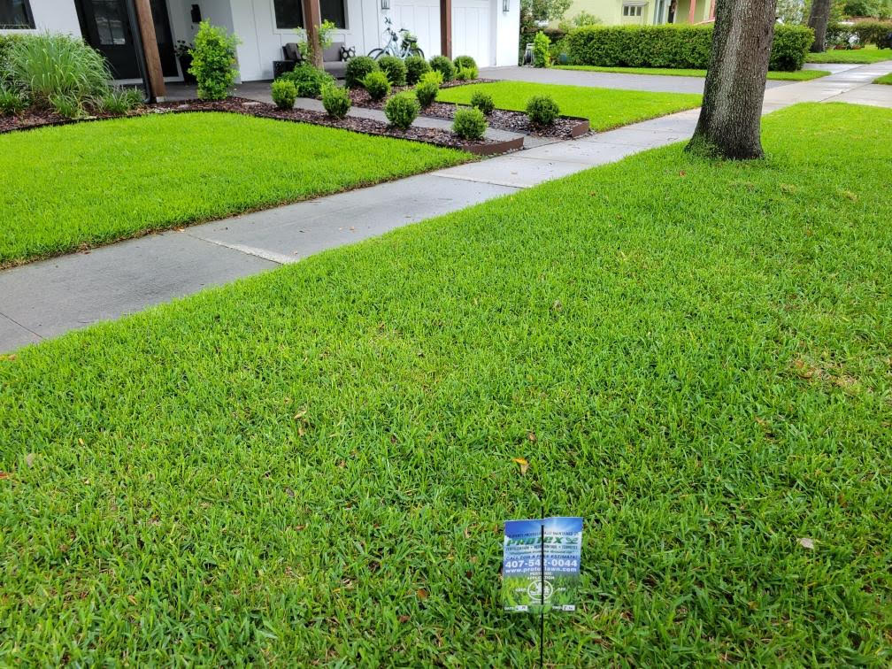 5 Best Lawn Fertilizers for Grass in Orlando