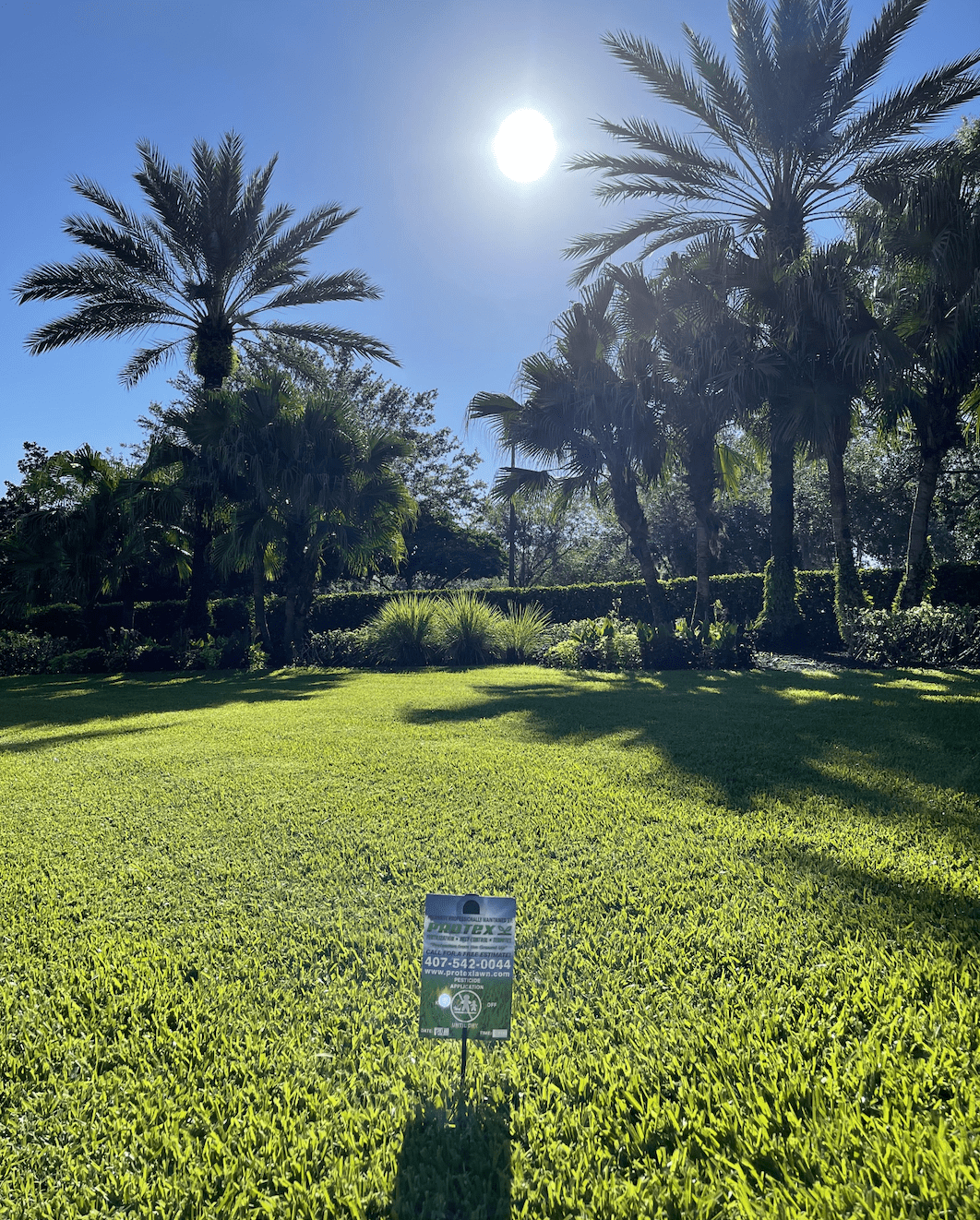 lawn fertilizer service in Orlando