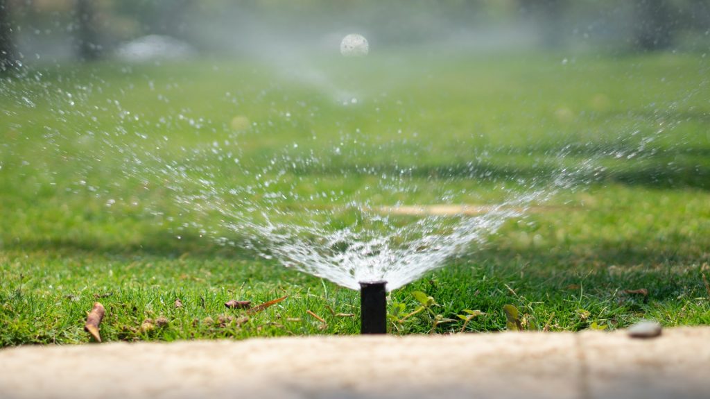 Irrigation System in Orlando