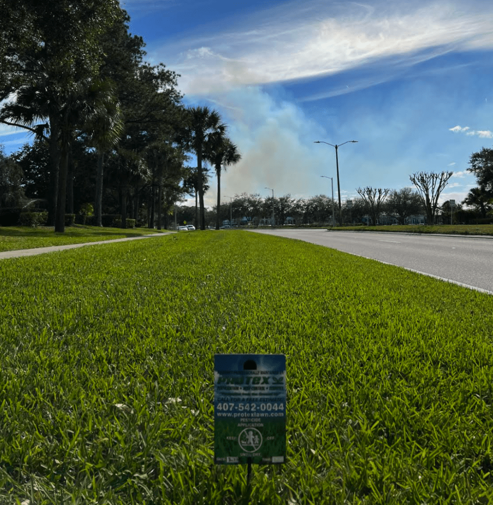 Is Pest Control Worth in Orlando?