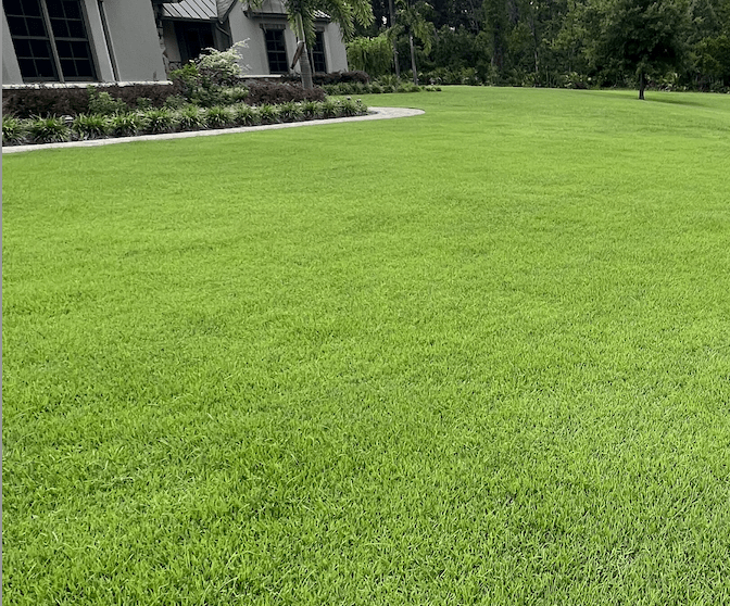 Why Professional Lawn Fertilizer Company in Orlando?