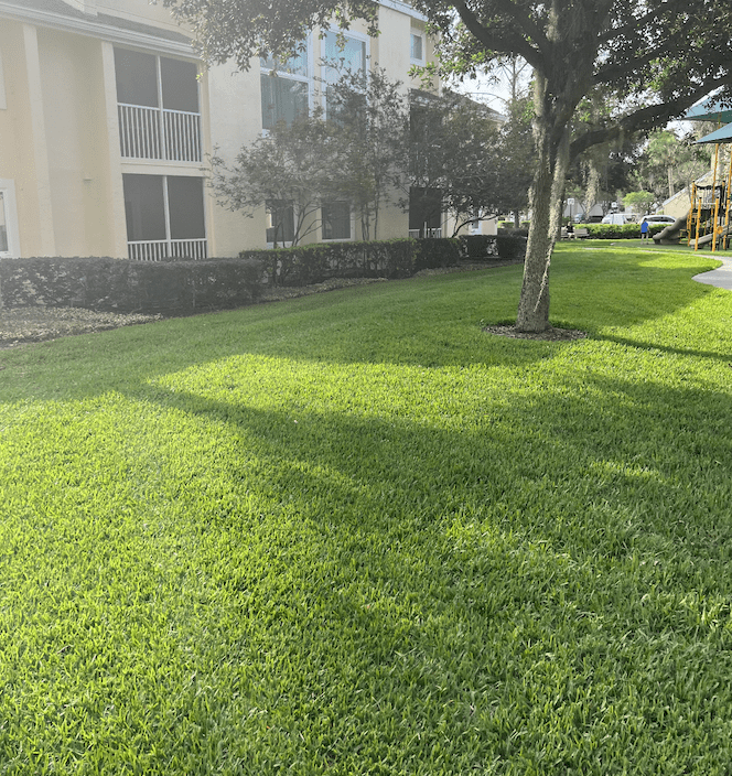 Why Professional Lawn Fertilizer Company in Orlando?