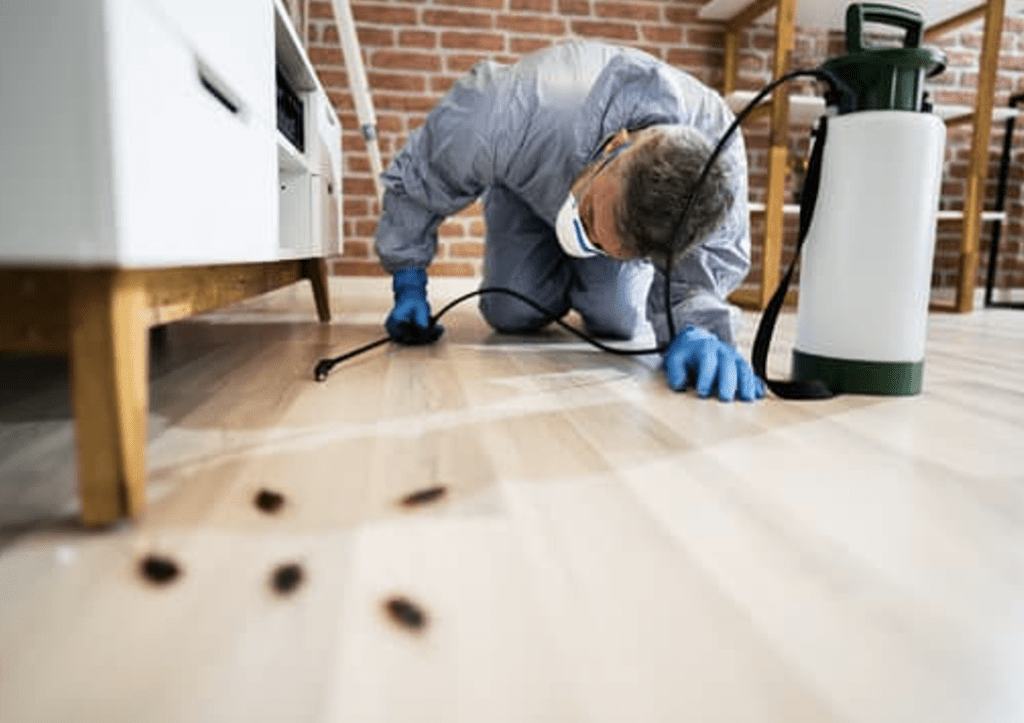 How Professional Pest Control Company in Orlando Can Help
