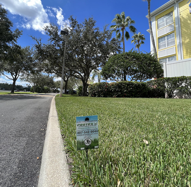 pest control, Pest Control in Orlando
