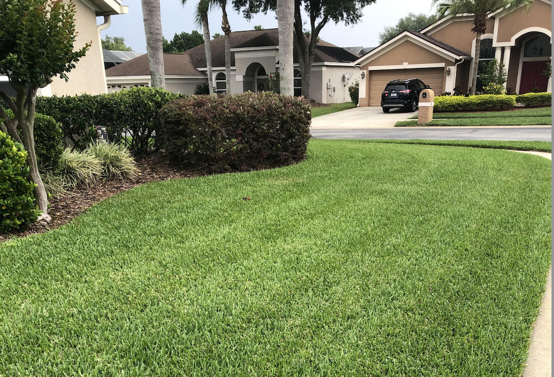 Lawn fertilizing companies in Orlando - How to Get High Quality