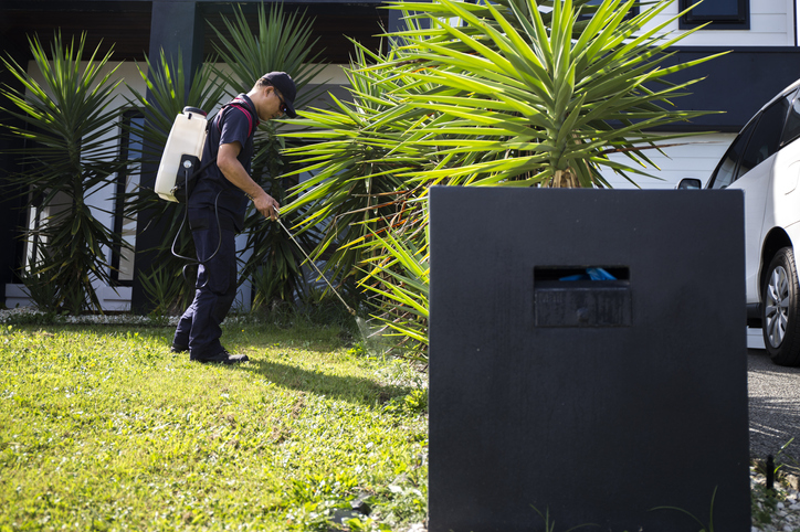 Effective Exterminator Services in Oviedo, Florida: Keeping Pests at Bay