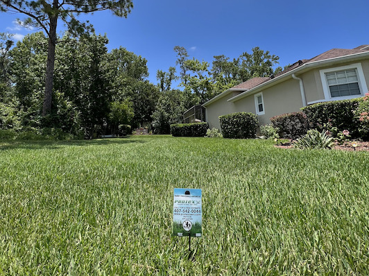 Celebrate Father’s Day Pest-Free with Protex Lawn and Pest Control in Oviedo FL