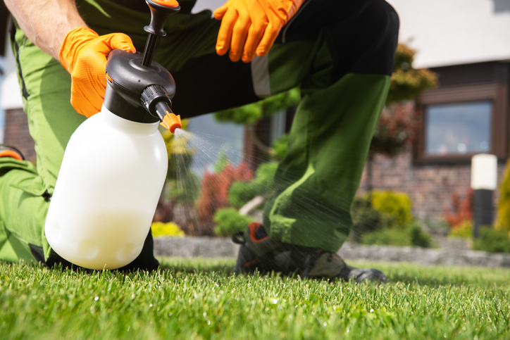 Importance of Pest Control in Florida