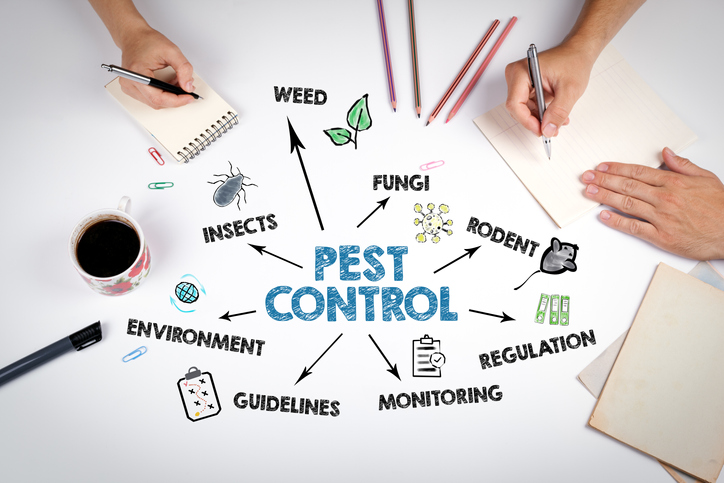 8 Effective Pest Control Solutions in Oviedo FL