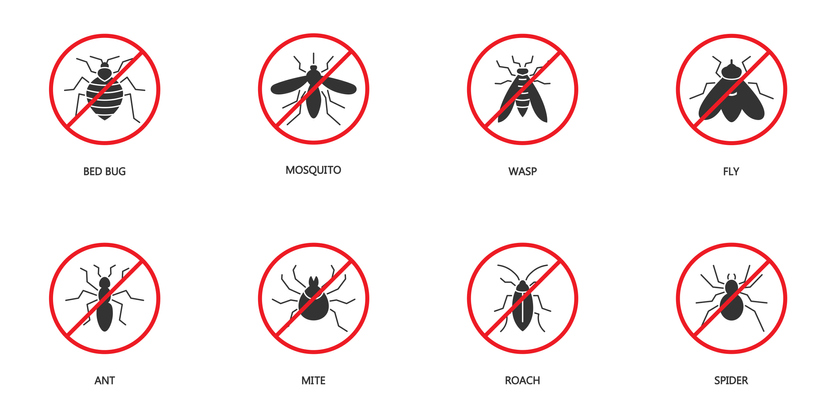 Effective Pest Control Services in Oviedo: Keep Your Home Pest-Free